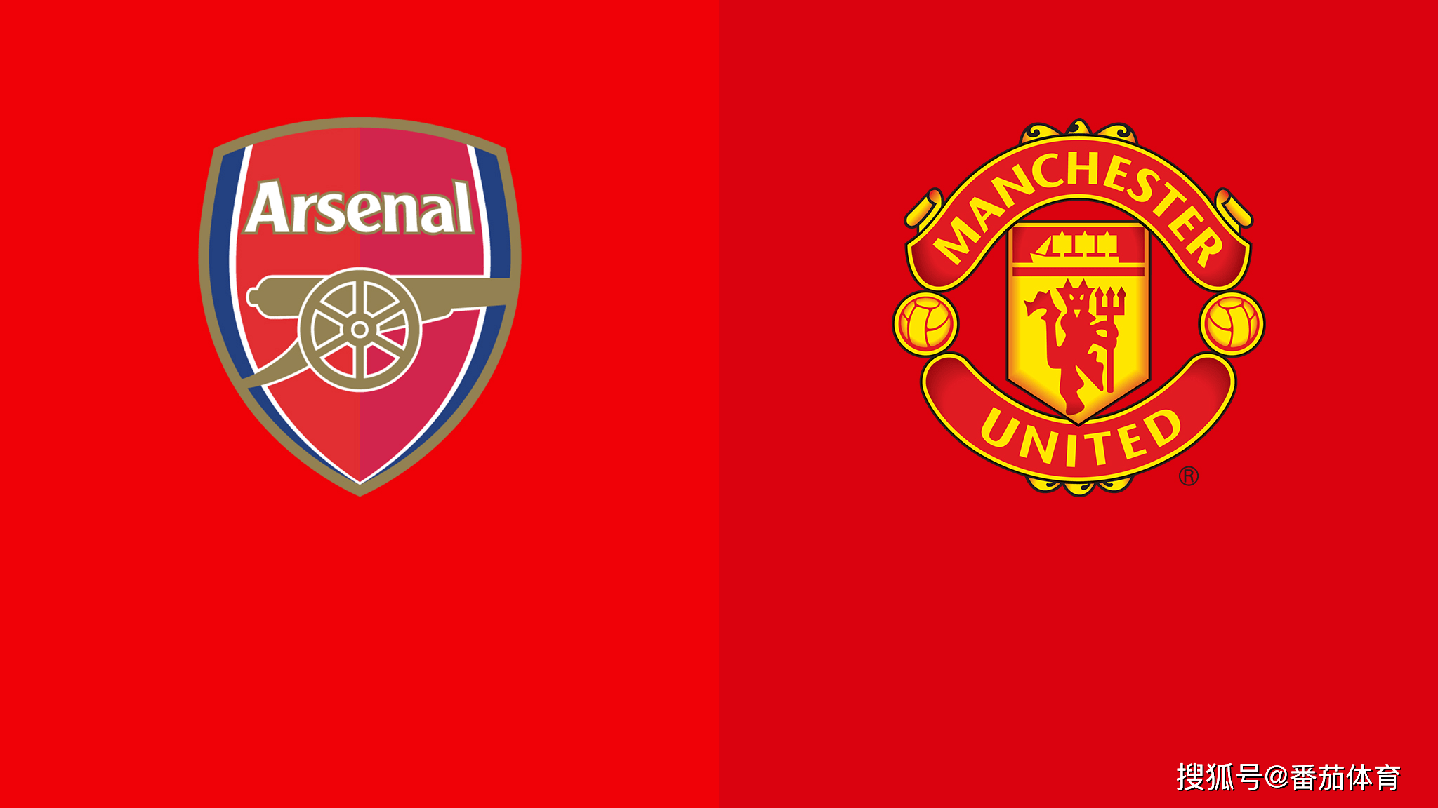 加拿大男篮实力大增